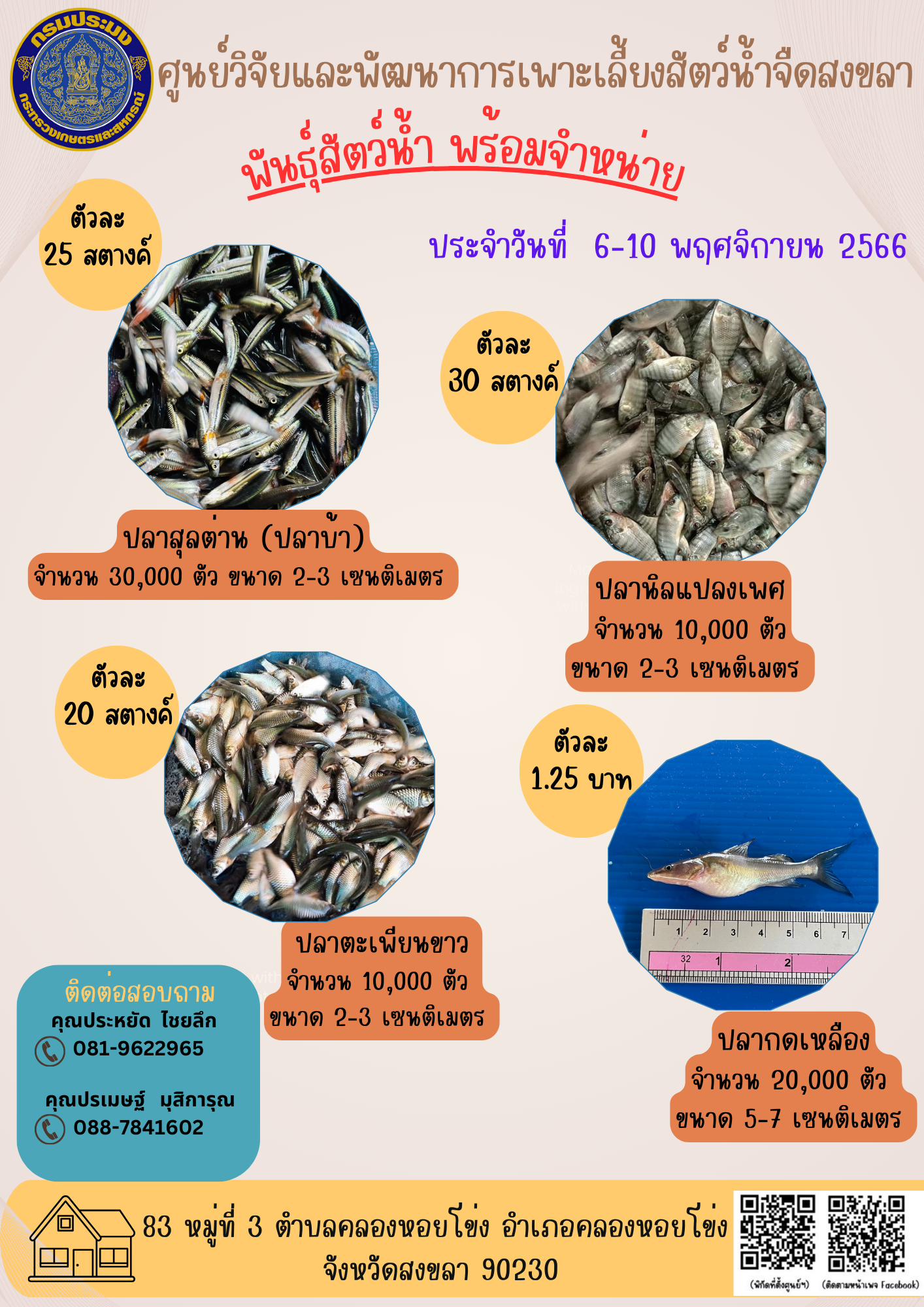 พัันธุ์สัตว์น้ำพร้อมจำหน่าย