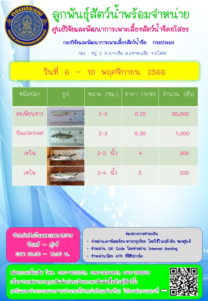 ลูกพันธุ์สัตว์น้ำพร้อมจำหน่าย 6 - 10 พ.ย. 2566..คลิก