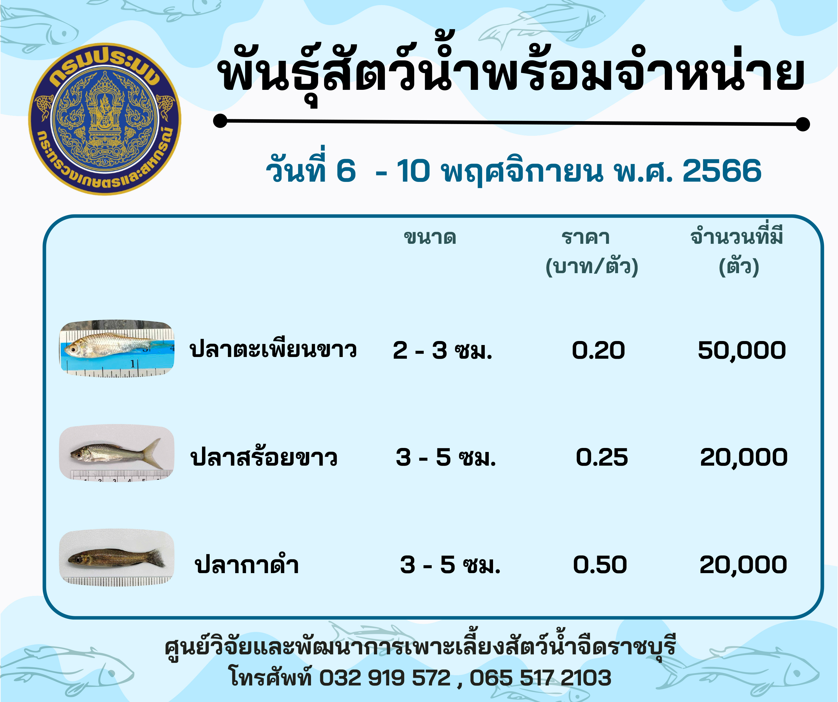 ลูกพันธุ์สัตว์น้ำพร้อมจำหน่าย ประจำวันที่ 6 - 10 พฤศจิกายน พ.ศ. 2566..คลิก