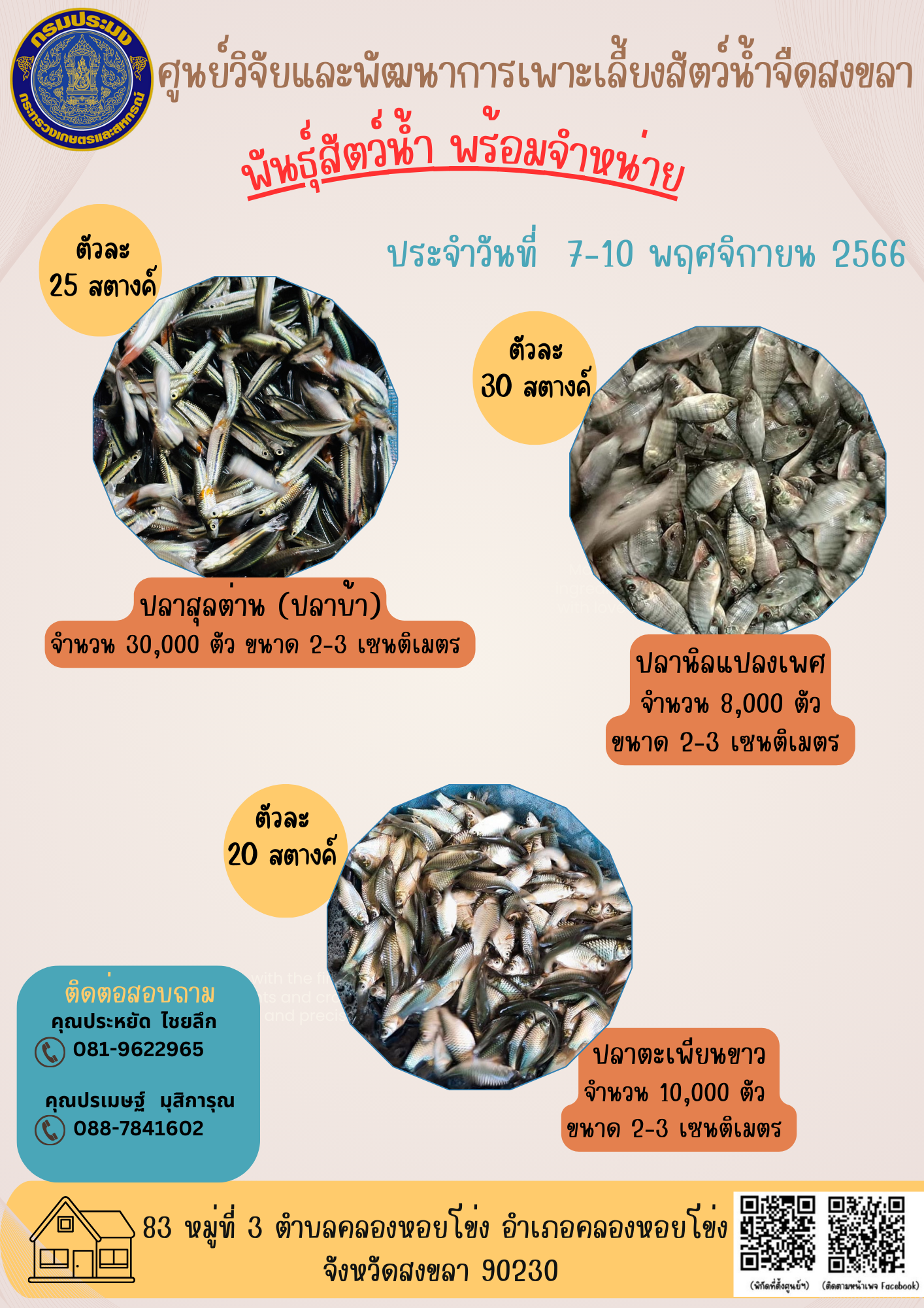 พัันธุ์สัตว์น้ำพร้อมจำหน่าย