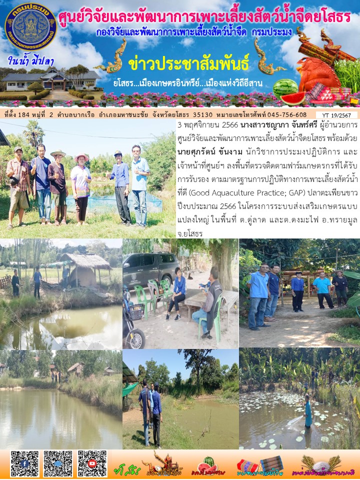 ข่าวประชาสัมพันธ์เดือนพฤศจิกายน ฉบับที่ 19/2567..คลิก