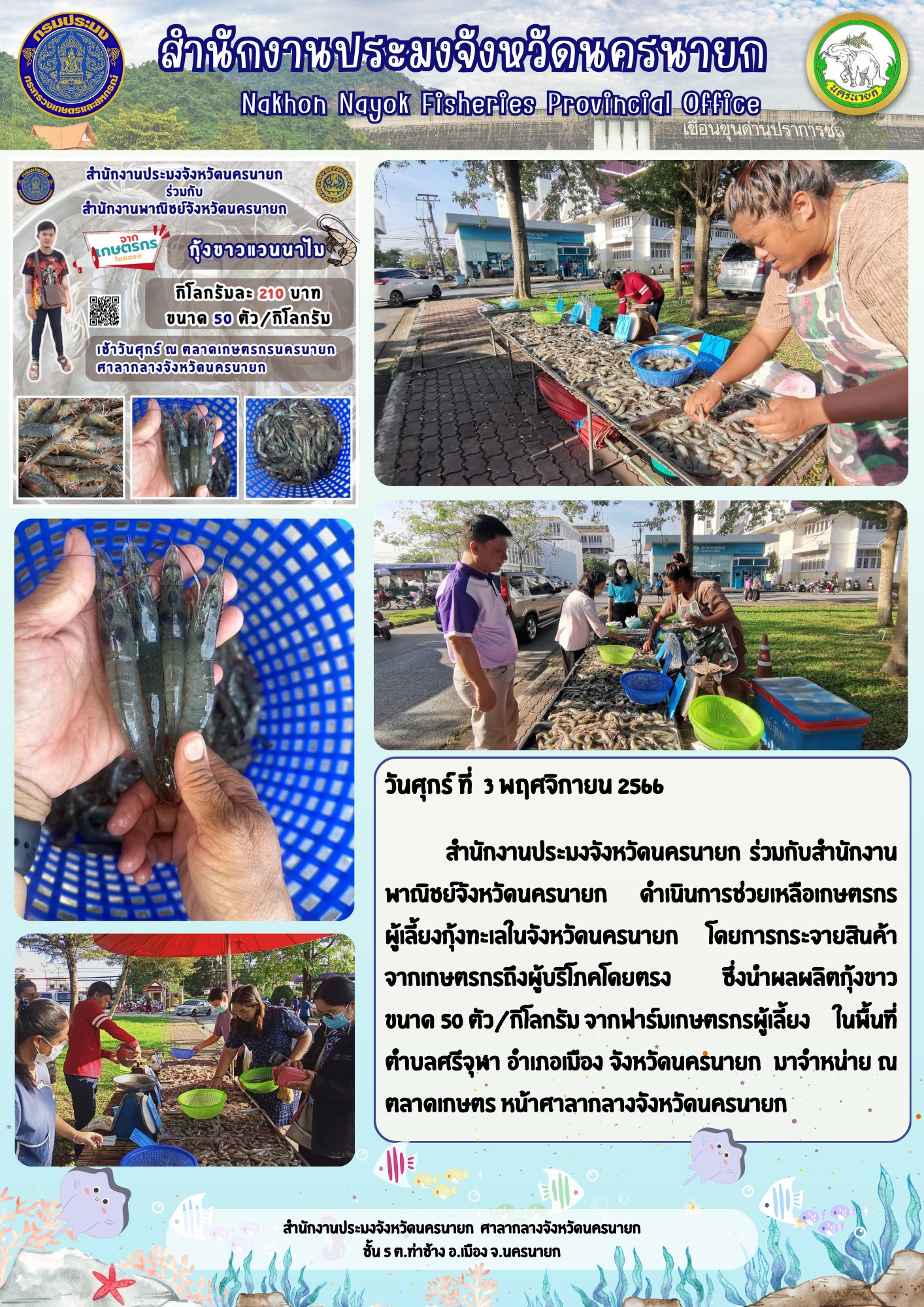 ดำเนินการช่วยเหลือเกษตรกรผู้เลี้ยงกุ้งทะเลในจังหวัดนครนายก โดยการกระจายสินค้า..คลิก
