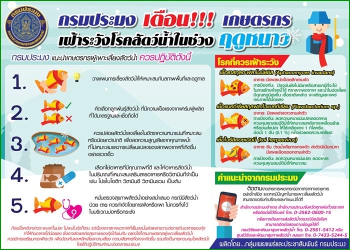 แจ้งเตือน เกษตรกร เฝ้าระวังโรคสัตว์น้ำในช่วงฤดูหนาว..คลิก