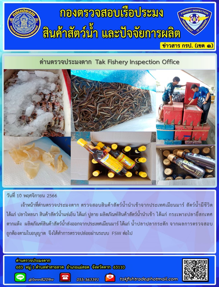 วันที่ 10 พฤศจิกายน 2566           เจ้าหน้าที่ด่านตรวจประมงตาก ตรวจสอบสินค้าสัตว์น้ำนำเข้าจากประเทศเมียนมาร์ สัตว์น้ำมีชีวิตได้แก่ ปลาไหลนา สินค้าสัตว์น้ำแช่เย็น ได้แก่ ปูลาย ผลิตภัณฑ์สินค้าสัตว์น้ำนำเข้า ได้แก่ กระเพาะปลายี่สกเทศตากแห้ง  ผลิตภัณฑ์สินค้าสัตว์น้ำส่งออกจากประเทศเมียนมาร์ ได้แก่ น้ำปลาปลากระตัก จากผลการตรวจสอบถูกต้องตามใบอนุญาต จึงได้ทำการตรวจปล่อยผ่านระบบ FSW ต่อไป..คลิก