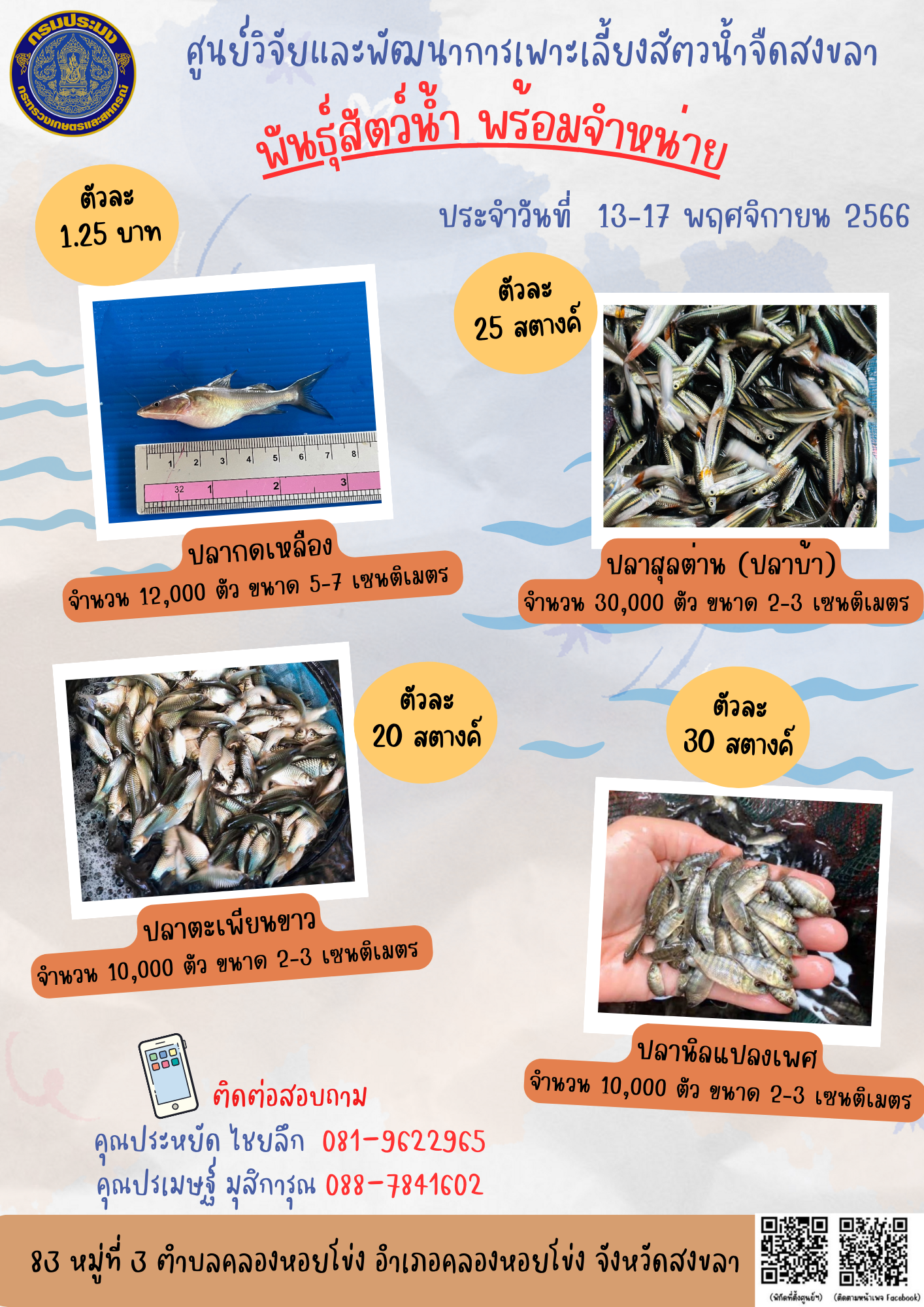 พันธุ์สัตว์น้ำพร้อมจำหน่าย