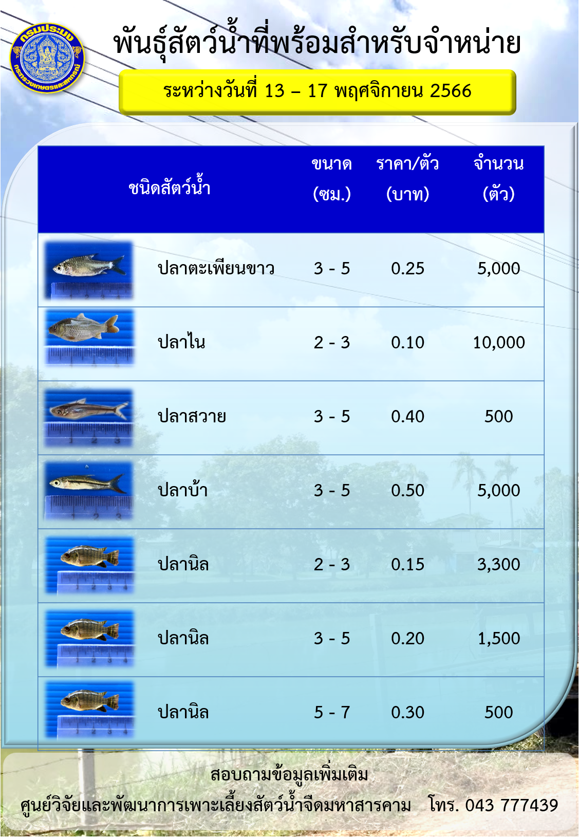 พันธุ์สัตว์น้ำที่พร้อมสำหรับจำหน่าย ระหว่างวันที่ 13 – 17 พฤศจิกายน 2566..คลิก