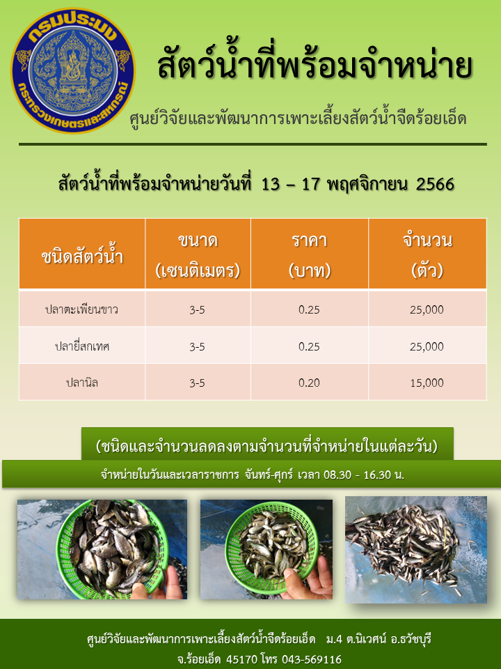 สัตว์น้ำที่พร้อมจำหน่ายวันที่ 13 – 17 พฤศจิกายน 2566..คลิก