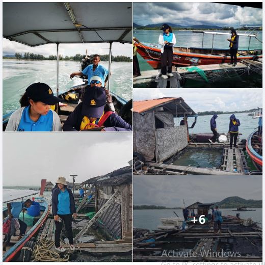 วันที่? 9 พฤศจิกายน 2566        นายสิทธิพล เมืองสง ประมงจังหวัดภูเก็ต? มอบหมายให้? นางสาวพิชามญชุ์? คมขำ? เจ้าพนักงานประมงปฏิบัติงาน? พร้อมด้วยนางสาวอโนรัตน์? มีแย้ม? ประมงอำเภอกะทู้? และนางสาวศุภนุช? เย็นเพ็ชร? นักวิชาการประมง? กลุ่มบริหารจัดการด้านการประมง ลงพื้นที่ตรวจสอบพิกัด?กระชังเพาะเลี้ยงสัตว์น้ำ?ของเกษตรกร? ผู้ยื่นคำขอรับใบอนุญาตให้ทำการเพาะเลี้ยงสัตว์น้ำในที่จับสัตว์น้ำซึ่งเป็นสาธารณสมบัติของแผ่นดิน? จำนวน? 32 ราย? บริเวณอ่าวป่าหล่าย หมู่?ที่? 3 ตำบลฉลอง ?อำเภอเมืองภูเก็ต จังหวัดภูเก็ต..คลิก