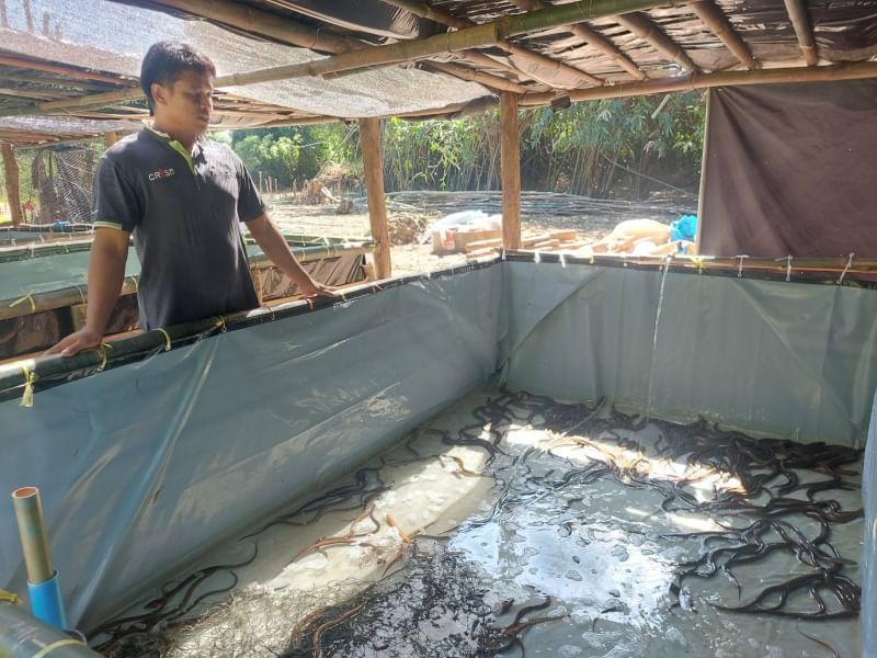 ประมงอำเภอชุมแสง เข้าตรวจเยี่ยมฟาร์มเพาะพันธุ์ปลาไหล เนื่องจากเกษตรกรขอขึ้นทะเบียน ทบ.1 และ ทบ.2..คลิก