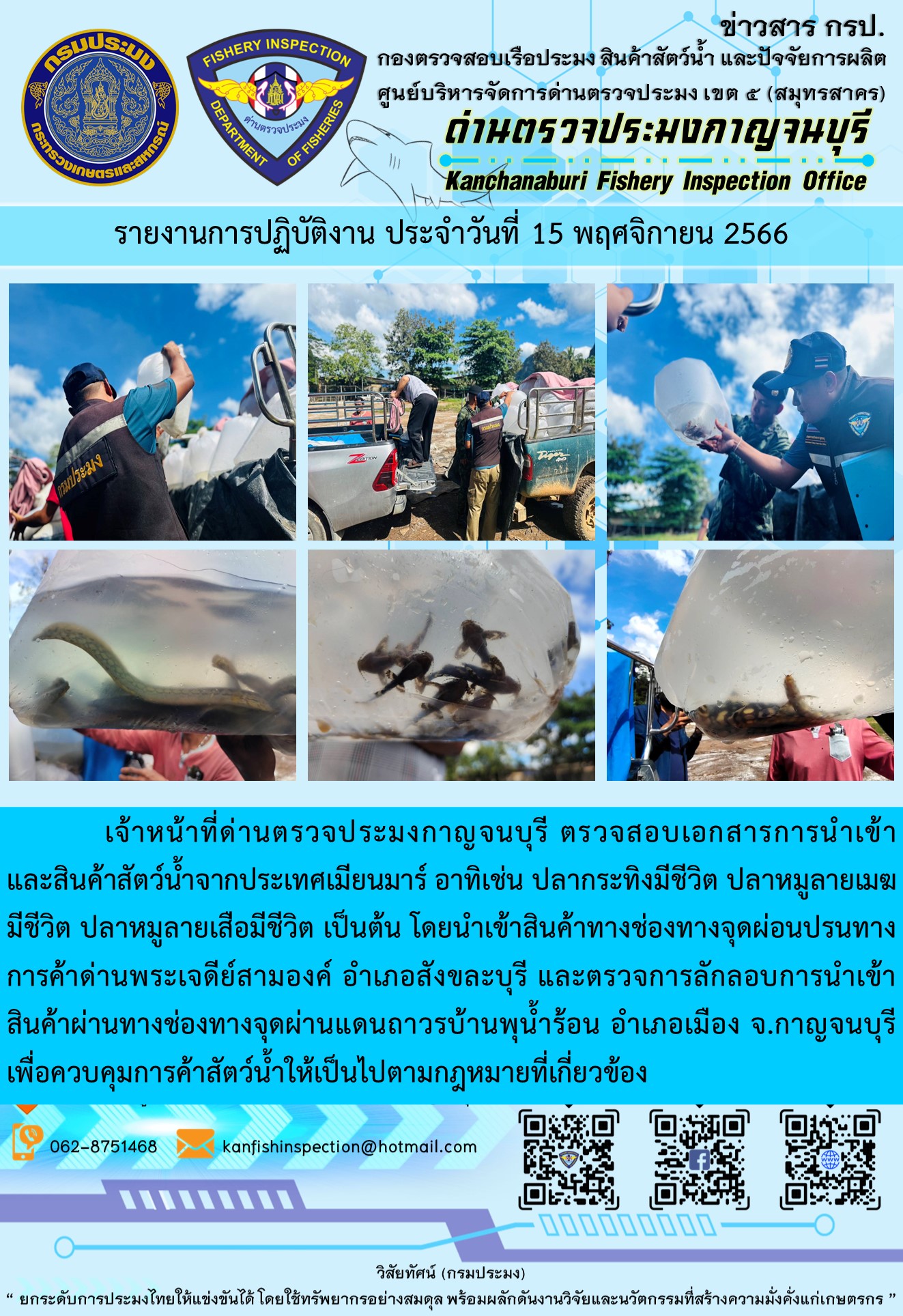 วันที่ 15 พฤศจิกายน 2566 นายสมพงษ์ คำพล หัวหน้าด่านตรวจประมงกาญจนบุรี มอบหมายให้ เจ้าหน้าที่ด่านตรวจประมงกาญจนบุรี ตรวจสอบเอกสารการนำเข้า และสินค้าสัตว์น้ำ จากประเทศเมียนมาร์ อาทิเช่น ปลากระทิงมีชีวิต ปลาหมูลายเมฆมีชีวิต ปลาหมูลายเสือมีชีวิต  เป็นต้น โดยนำเข้าสินค้าผ่านช่องทางจุดผ่อนปรนทางการค้าด่านพระเจดีย์สามองค์และจุดผ่านแดนถาวรบ้านพุน้ำร้อน..คลิก