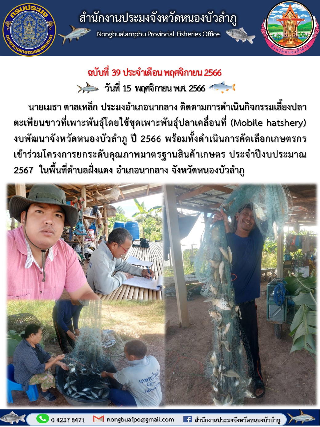   นายเมธา ตาลเหล็ก ประมงอำเภอนากลาง ติดตามการดำเนินกิจกรรมเลี้ยงปลาตะเพียนขาวที่เพาะพันธุ์โดยใช้ชุดเพาะพันธุ์ปลาเคลื่อนที่ (Mobile hatshery)..คลิก