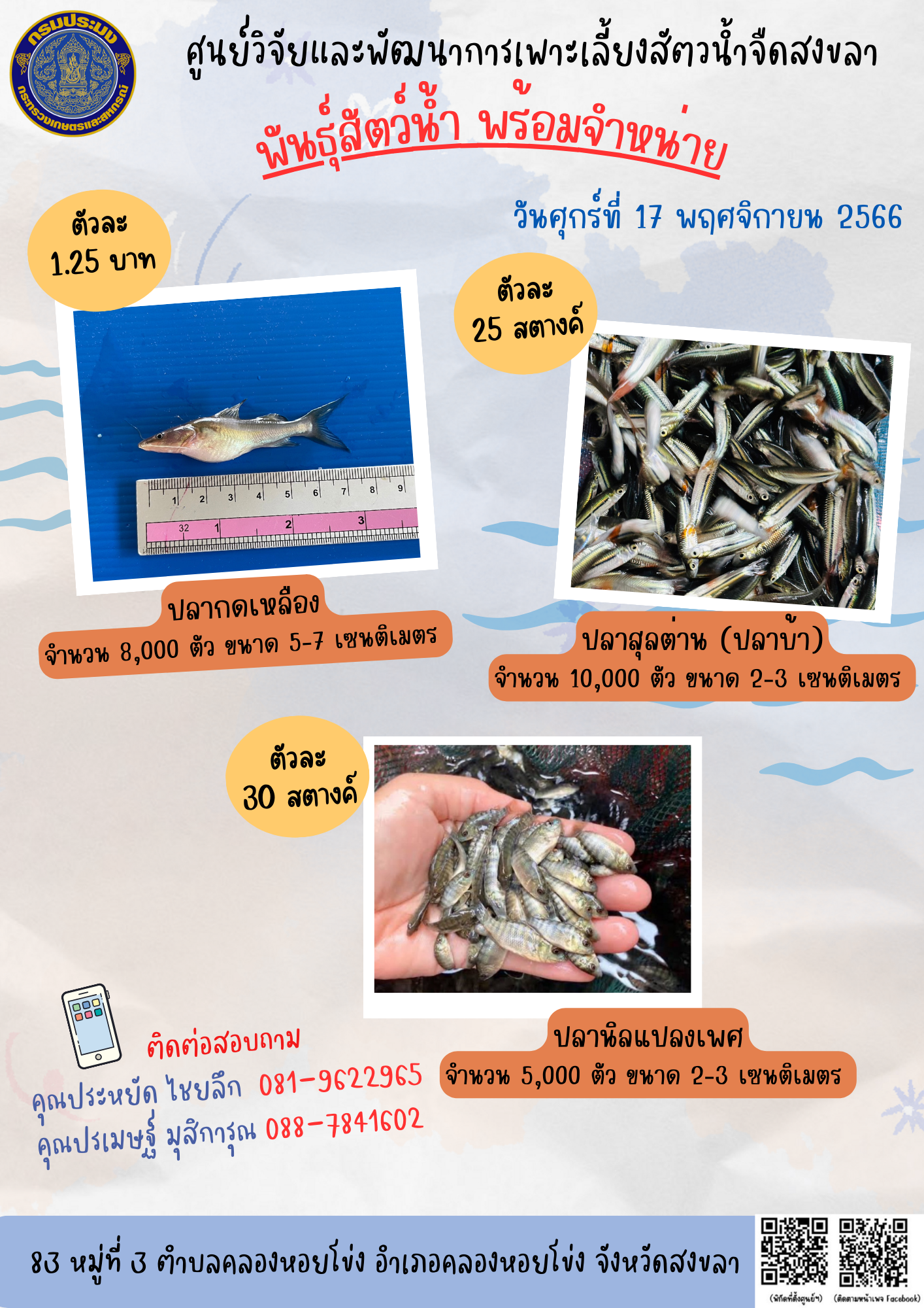 พันธุ์สัตว์น้ำพร้อมจำหน่าย