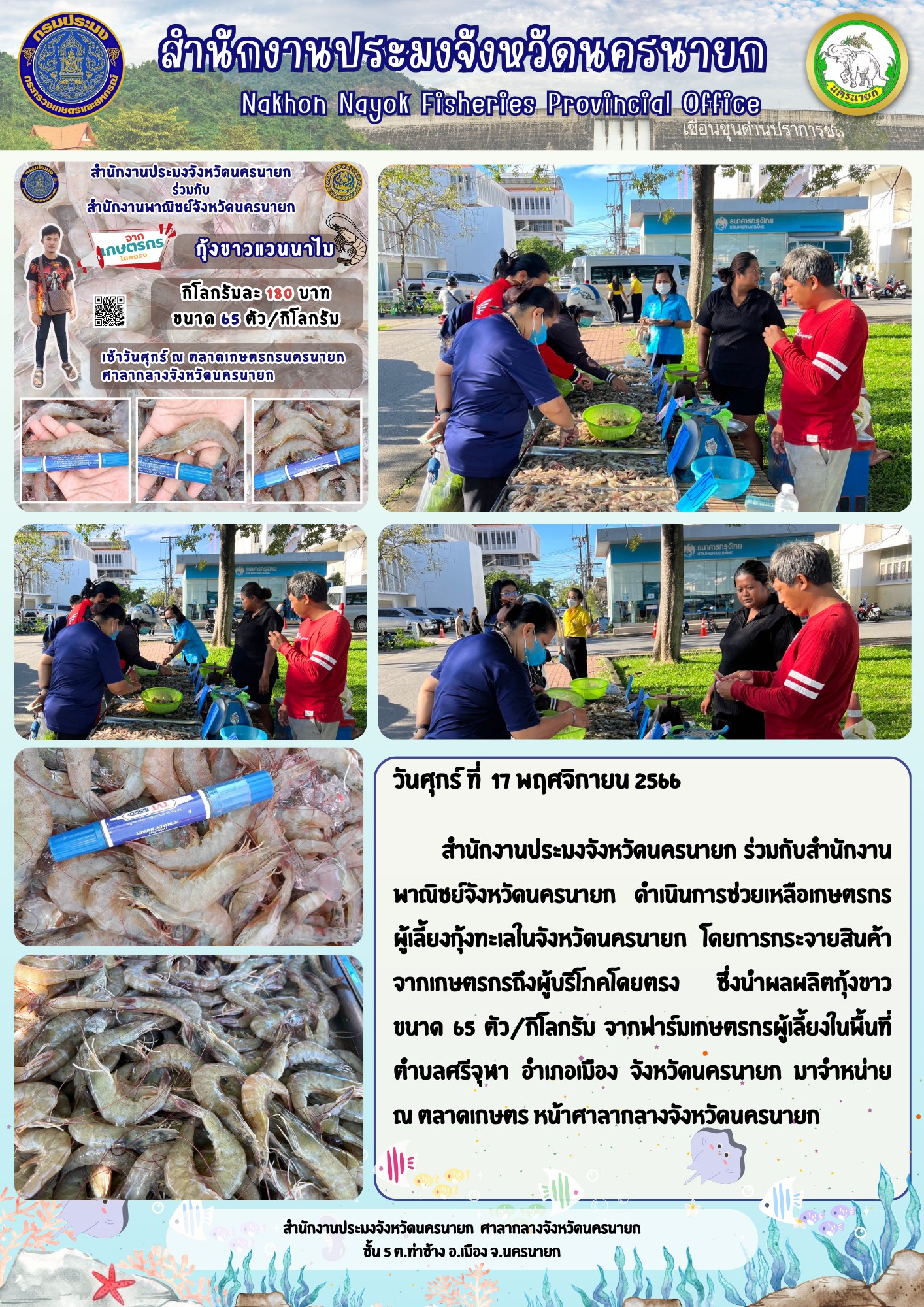 กุ้งขาวสดๆ จากบ่อเกษตรกรโดยตรง นำมาจำหน่ายแล้วที่  ตลาดเกษตร หน้าศาลากลางจังหวัดนครนายก แล้วพบกันอีกครั้งในศุกร์ถัดไป