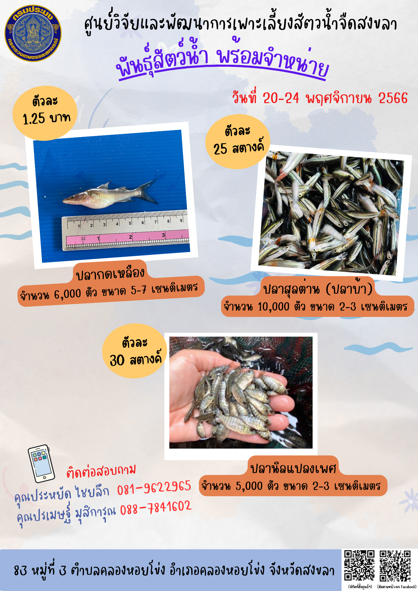 พันธุ์สัตว์น้ำพร้อมจำหน่าย