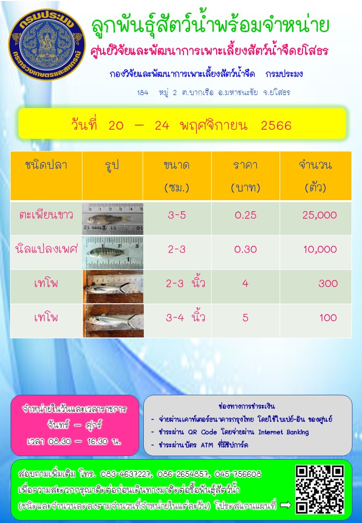 ลูกพันธุ์สัตว์น้ำพร้อมจำหน่าย 20 - 24 พ.ย. 2566..คลิก