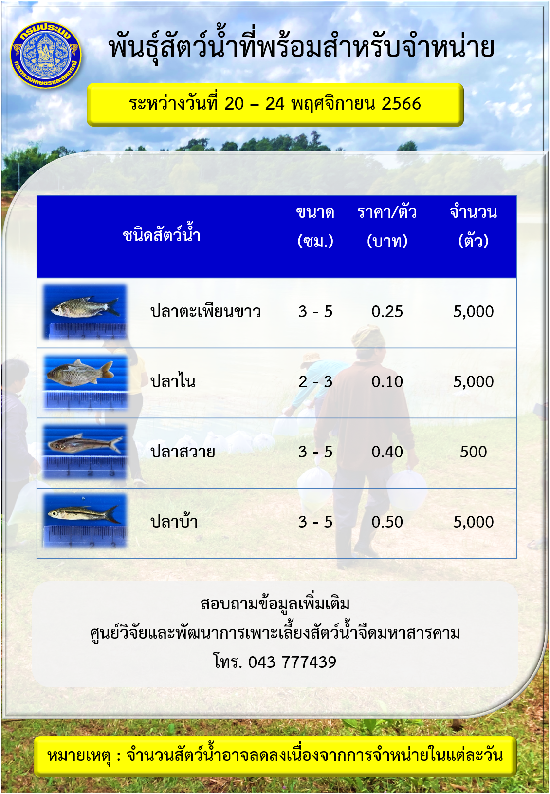 พันธุ์สัตว์น้ำที่พร้อมสำหรับจำหน่าย ระหว่างวันที่ 20 – 24 พฤศจิกายน 2566..คลิก