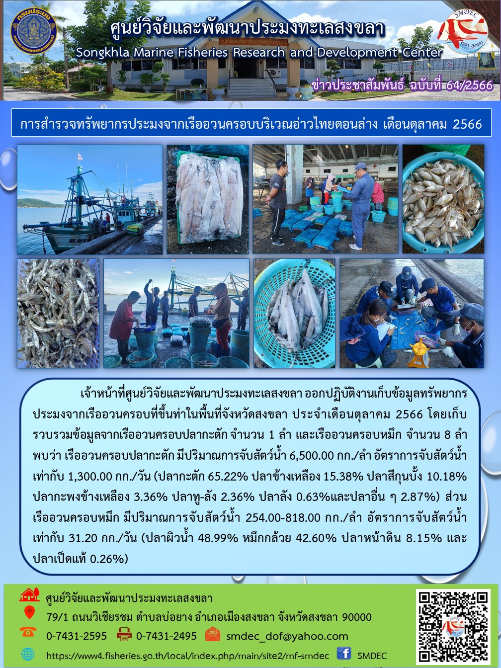 เจ้าหน้าที่ศูนย์วิจัยและพัฒนาประมงทะเลสงขลา ออกปฏิบัติงานเก็บข้อมูลทรัพยากรประมงจากเรืออวนครอบที่ขึ้นท่าในพื้นที่จังหวัดสงขลา ประจำเดือนตุลาคม 2566 โดยเก็บรวบรวมข้อมูลจากเรืออวนครอบปลากะตัก จำนวน 1 ลำ และเรืออวนครอบหมึก จำนวน 8 ลำ พบว่า เรืออวนครอบปลากะตัก มีปริมาณการจับสัตว์น้ำ 6,500.00 กก./ลำ อัตราการจับสัตว์น้ำ เท่ากับ 1,300.00 กก./วัน (ปลากะตัก 65.22% ปลาข้างเหลือง 15.38% ปลาสีกุนบั้ง 10.18% ปลากะพงข้างเหลือง 3.36% ปลาทู-ลัง 2.36% ปลาลัง 0.63%และปลาอื่นๆ 2.87%) ส่วนเรืออวนครอบหมึก ปริมาณการจับสัตว์น้ำ 254.00-818.00 กก./ลำ อัตราการจับสัตว์น้ำ เท่ากับ 31.20 กก./วัน (ปลาผิวน้ำ 48.99% หมึกกล้วย 42.60% ปลาหน้าดิน 8.15% และปลาเป็ดแท้ 0.26%)..คลิก