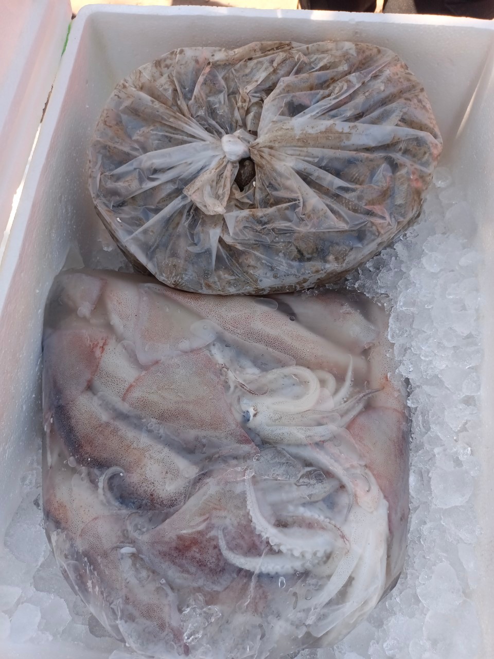 เจ้าหน้าที่ศูนย์บริหารจัดการด่านตรวจประมงเขต 1 (เชียงราย) ตรวจสอบสินค้าสัตว์น้ำส่งออกไปยังสาธารณรัฐประชาธิปไตยประชาชนลาว ผ่านทางด่านพรมแดนอำเภอเชียงแสน จังหวัดเชียงราย..คลิก