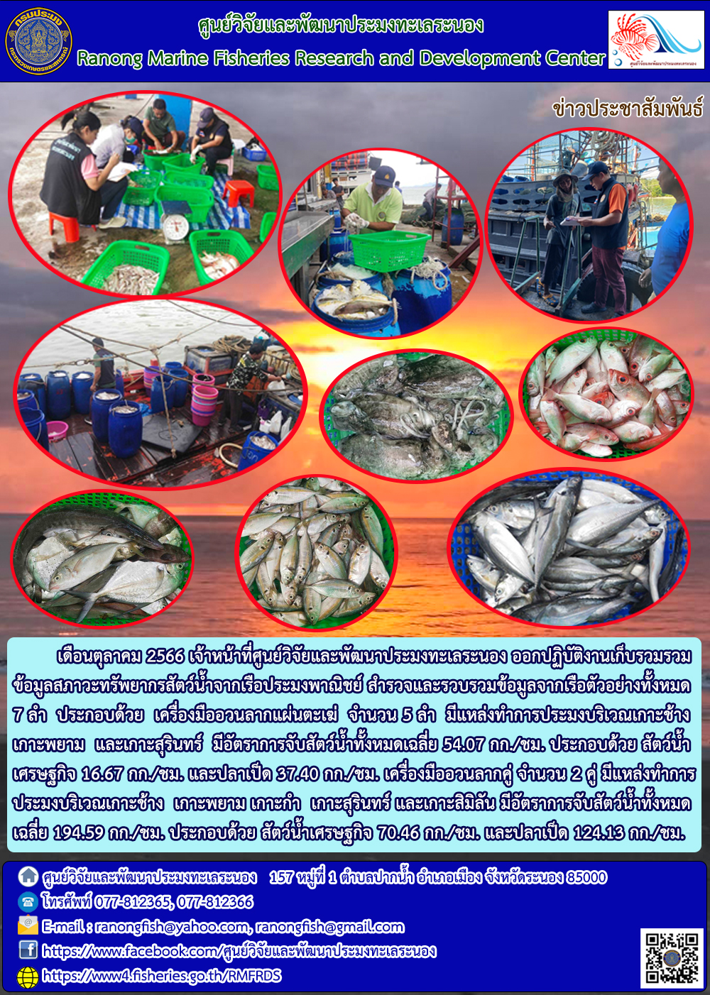 เดือนตุลาคม 2566 เจ้าหน้าที่ศูนย์วิจัยและพัฒนาประมงทะเลระยอง ออกปฏิบัติงานเก็บรวบรวมข้อมูลสภาวะทรัพยากรสัตว์น้ำจากเรือประมงพาณิชย์ สำรวจและรวบรวมข้อมูลจากเรือตัวอย่างทั้งหมด 7 ลำ ประกอบด้วย เครื่องมืออวนลากแผ่นตะเฆ่ จำนวน 5 ลำ มีแหล่งทำการประมงบริเวณเกาะช้าง เกาะพยาม และเกาะสุรินทร์ มีอัตราการจับสัตว์น้ำทั้งหมดเฉลี่ย 54.07 กก./ซม. ประกอบด้วย สัตว์น้ำเศรษฐกิจ 16.67 กก./ซม. และปลาเป็ด 37.40 กก./ซม. เครื่องมืออวนลากคู่ จำนวน 2 คู่ มีแหล่งทำการประมงบริเวณเกาะช้าง เกาะพยาม เกาะกำ เกาะสุรินทร์ และเกาะสิมิลัน มีอัตราการจับสัตว์น้ำทั้งหมด เฉลี่ย 194.59 กก./ซม. ประกอบด้วย สัตว์น้ำเศรษฐกิจ 70.46 กก.ซม. และปลาเป็ด 124.13 กก3/ซม...คลิก
