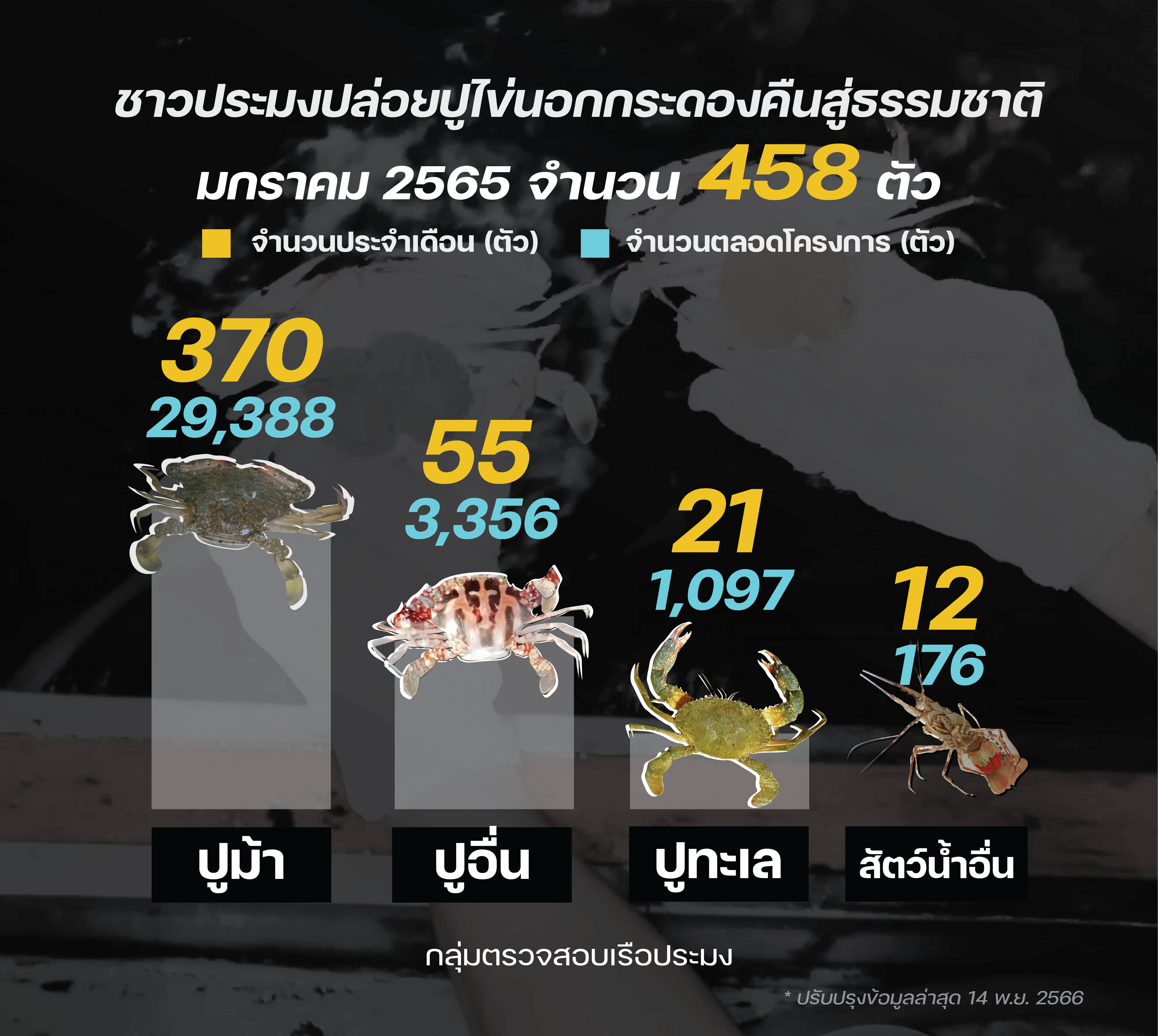 ชาวประมง ปล่อยปูไข่ มกราคม 2565..คลิก
