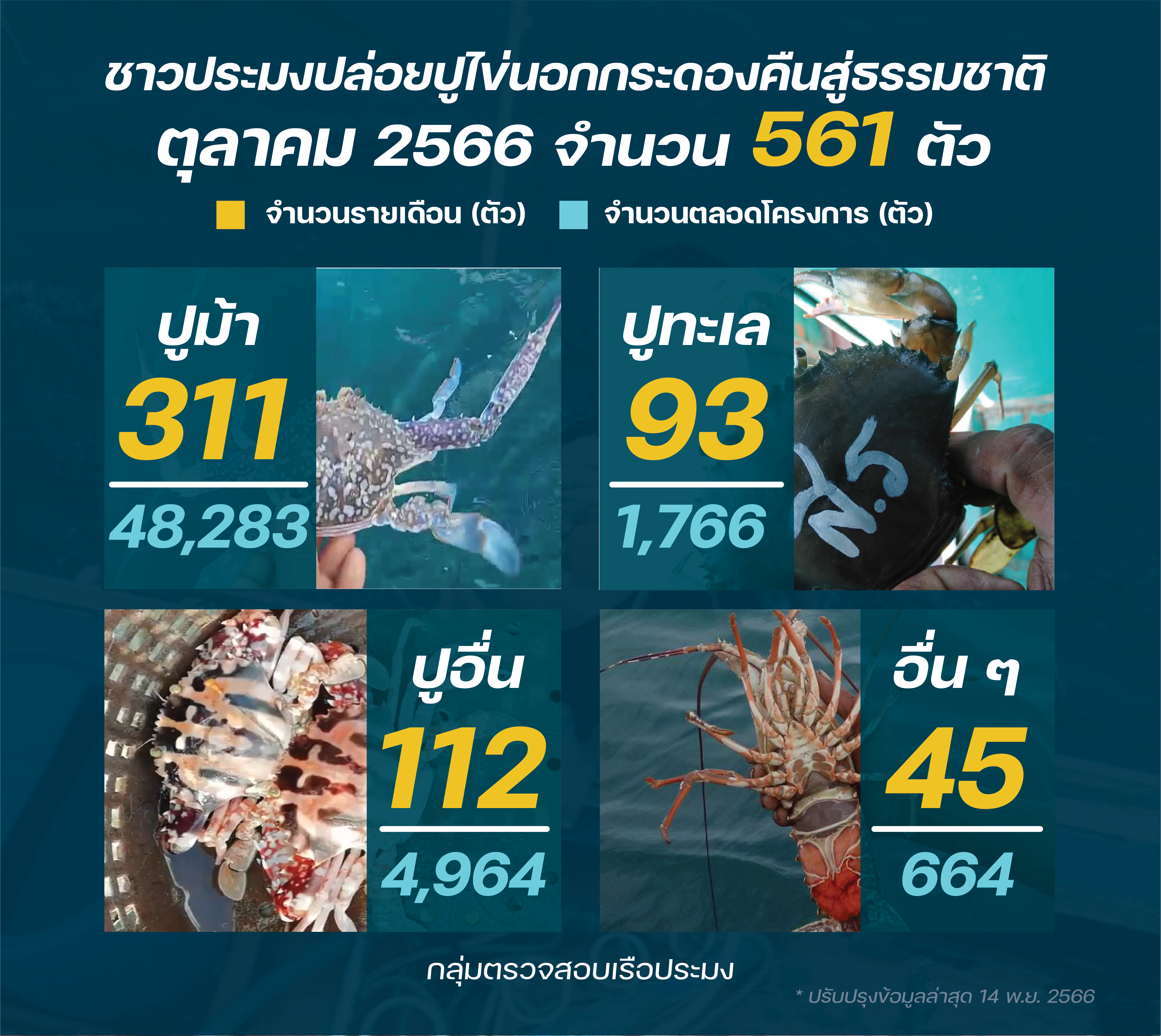 ชาวประมง ปล่อยปูไข่ ตุลาคม 2566..คลิก