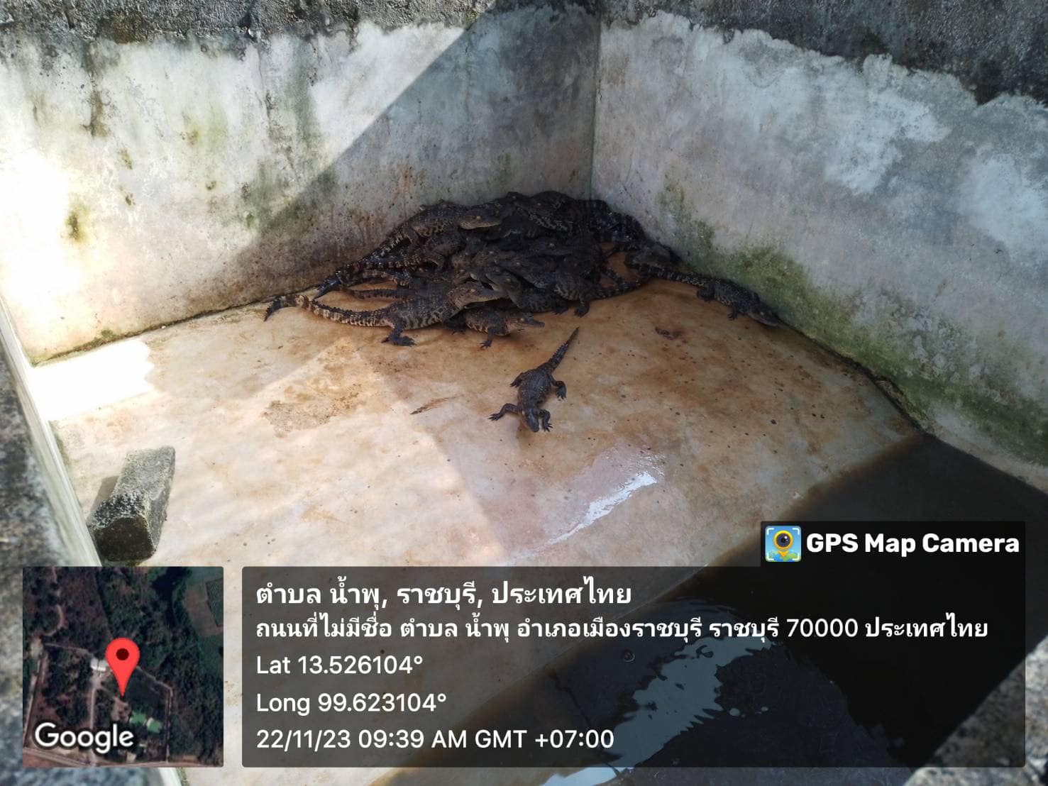 ลงพื้นที่ตรวจเยี่ยมและตรวจสอบสถานประกอบกิจการการเพาะเลี้ยง และครอบครองสัตว์ป่าสงวนและคุ้มครอง ประเภท จระเข้