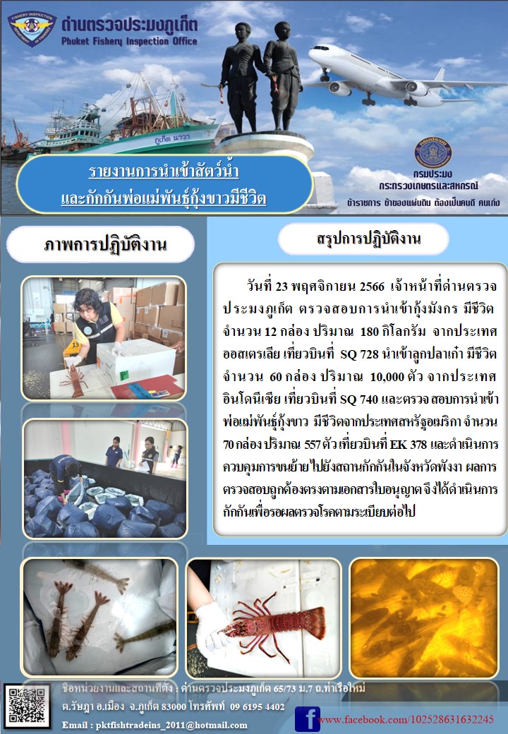 ข่าวประชาสัมพันธ์การตรวจสอบการนำเข้ากุ้งมังกรและการนำเข้าพ่อแม่พันธุ์กุ้งขาว ในวันที่ 23 พฤศจิกายน 2566..คลิก
