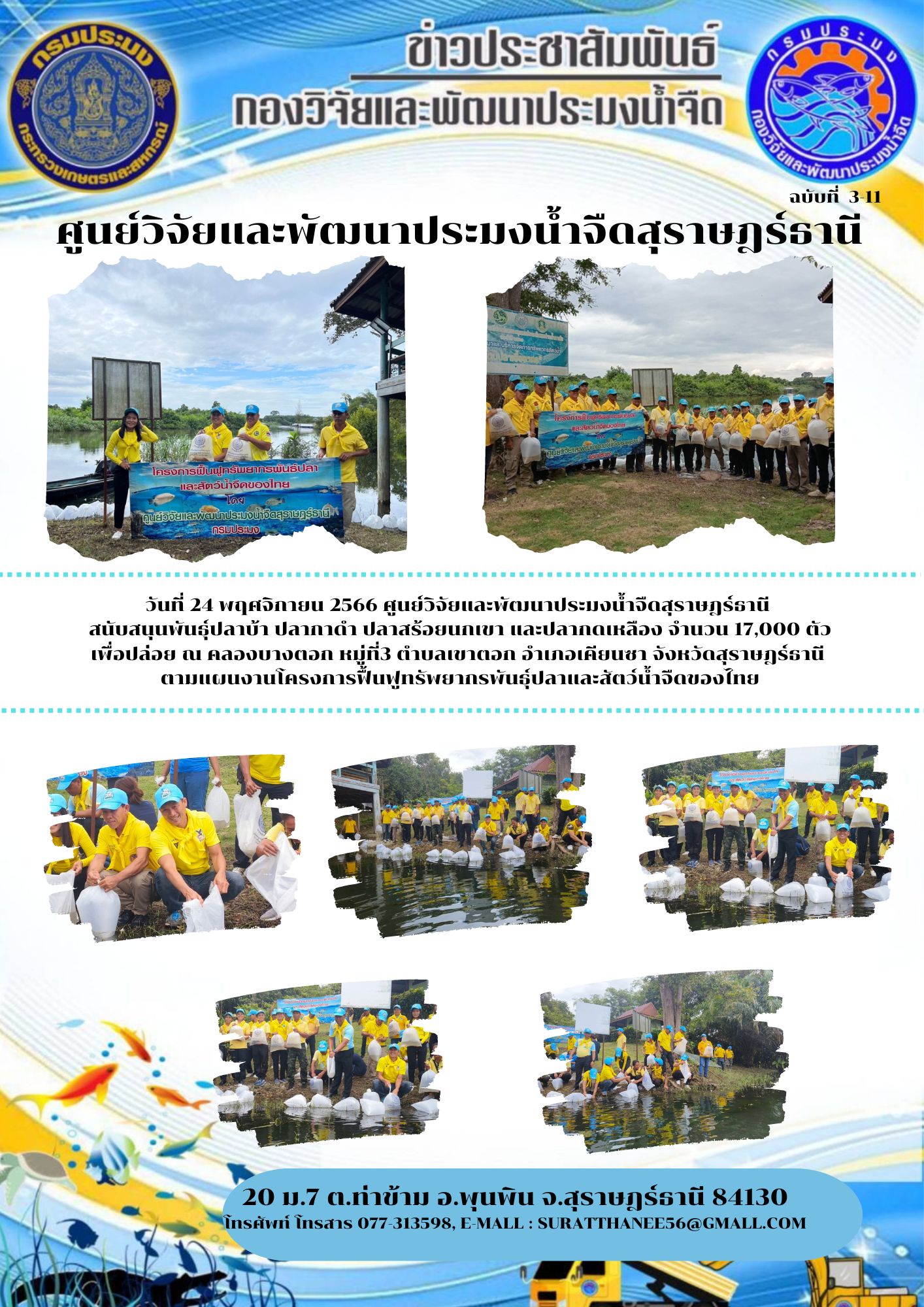 วันที่ 24 พฤศจิกายน 2566 ศูนย์วิจัยและพัฒนาประมงน้ำจืดสุราษฎร์ธานี  สนับสนุนพันธุ์ปลาบ้า ปลากาดำ ปลาสร้อยนกเขา และปลากดเหลือง จำนวน 17,000 ตัว..คลิก