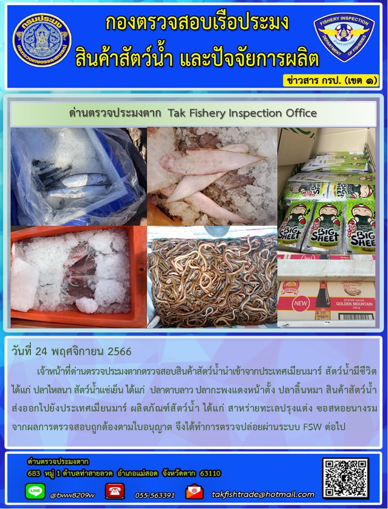 วันที่ 24 พฤศจิกายน 2566           เจ้าหน้าที่ด่านตรวจประมงตากตรวจสอบสินค้าสัตว์น้ำนำเข้าจากประเทศเมียนมาร์ สัตว์น้ำมีชีวิต ได้แก่ ปลาไหลนา สัตว์น้ำแช่เย็น ได้แก่  ปลาดาบลาว ปลากะพงแดงหน้าตั้ง ปลาลิ้นหมา สินค้าสัตว์น้ำส่งออกไปยังประเทศเมียนมาร์ ผลิตภัณฑ์สัตว์น้ำ ได้แก่ สาหร่ายทะเลปรุงแต่ง ซอสหอยนางรม จากผลการตรวจสอบถูกต้องตามใบอนุญาต จึงได้ทำการตรวจปล่อยผ่านระบบ FSW ต่อไป..คลิก