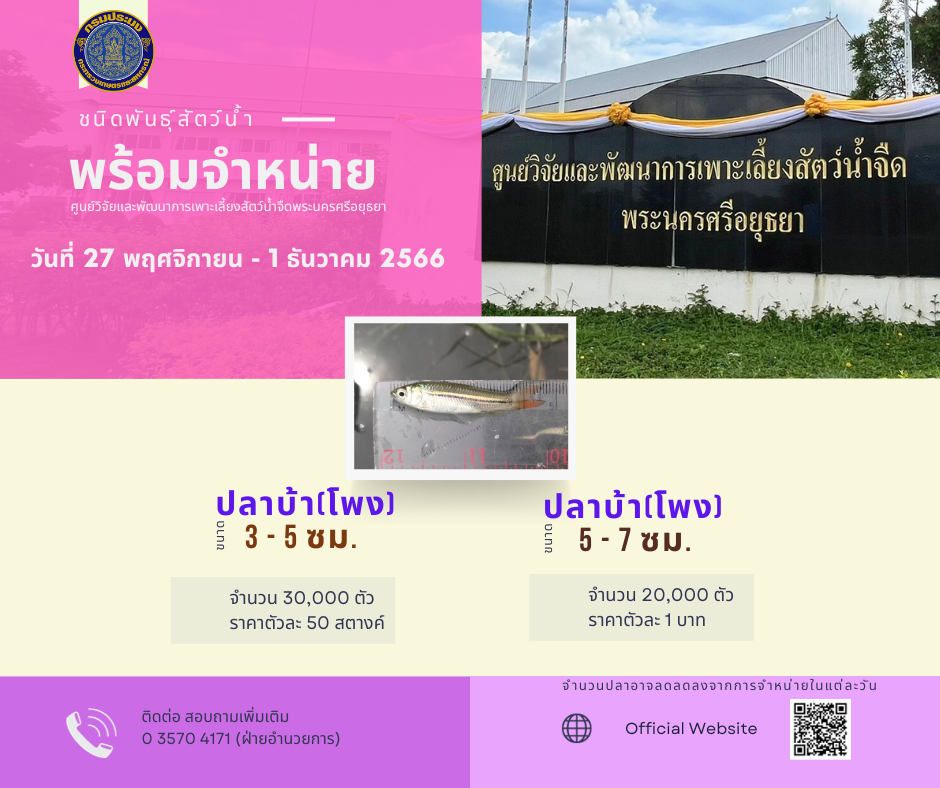 ชนิดพันธ์ุสัตว์น้ำพร้อมจำหน่าย (27 พฤศจิกายน - 1 ธันวาคม 2566) ศพจ.พระนครศรีอยุธยา..คลิก