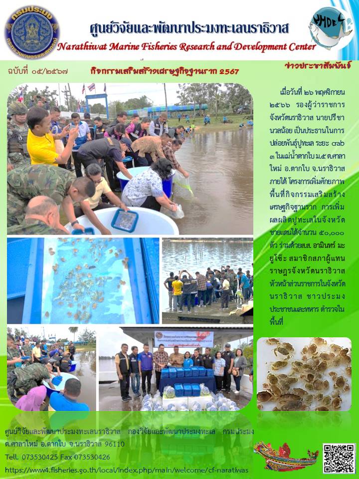 โครงการเพิ่มศักยภาพพื้นที่กิจกรรมเสริมสร้างเศรษฐกิจฐานราก  การเพิ่มผลผลิตปูทะเลในจังหวัดชายแดนใต้ 2567..คลิก