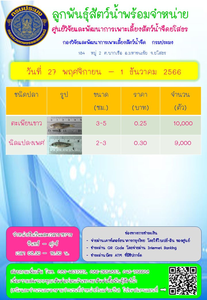 ลูกพันธุ์สัตว์น้ำพร้อมจำหน่าย 27 พ.ย. - 1 ธ.ค. 2566..คลิก