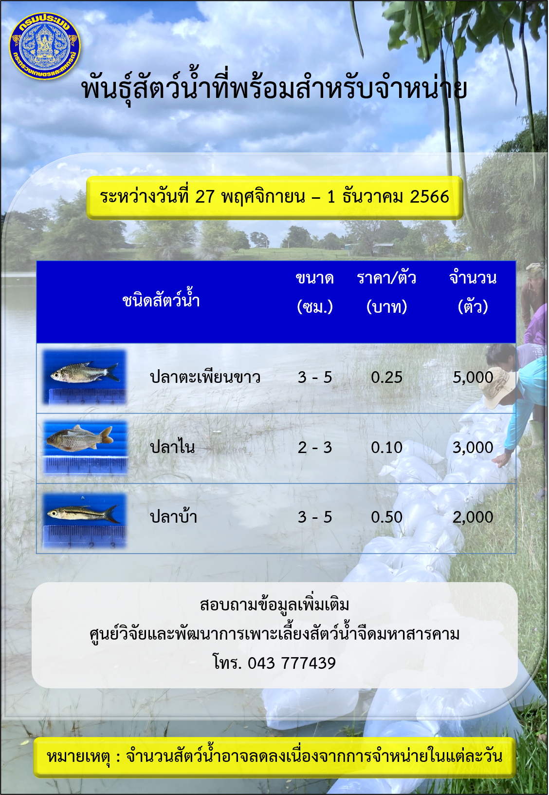 พันธุ์สัตว์น้ำที่พร้อมสำหรับจำหน่าย ระหว่างวันที่ 27 พฤศจิกายน – 1 ธันวาคม 2566..คลิก