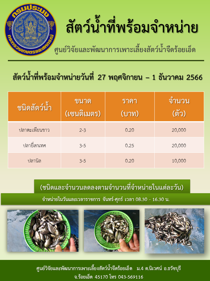 สัตว์น้ำที่พร้อมจำหน่ายวันที่ 27 พฤศจิกายน – 1 ธันวาคม 2566..คลิก