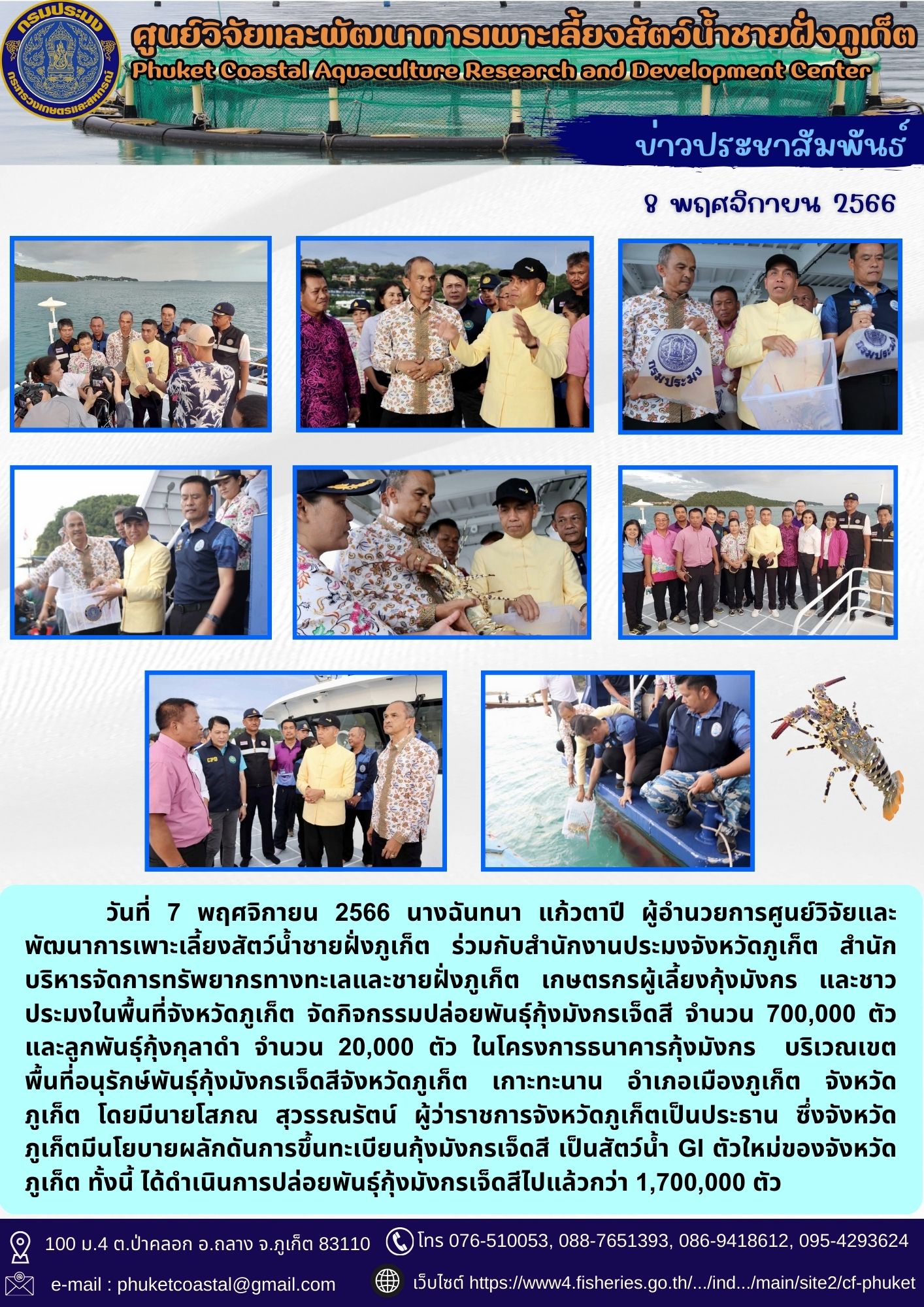 วันที่ 7 พฤศจิกายน 2566 นางฉันทนา แก้วตาปี ผู้อำนวยการศูนย์วิจัยและพัฒนาการเพาะเลี้ยงสัตว์น้ำชายฝั่งภูเก็ต ร่วมกับสำนักงานประมงจังหวัดภูเก็ต สำนักบริหารจัดการทรัพยากรทางทะเลและชายฝั่งภูเก็ต เกษตรกรผู้เลี้ยงกุ้งมังกร และชาวประมงในพื้นที่จังหวัดภูเก็ต จัดกิจกรรมปล่อยพันธุ์กุ้งมังกรเจ็ดสี จำนวน 700,000 ตัว และลูกพันธุ์กุ้งกุลาดำ จำนวน 20,000 ตัว ในโครงการธนาคารกุ้งมังกร  บริเวณเขตพื้นที่อนุรักษ์พันธุ์กุ้งมังกรเจ็ดสีจังหวัดภูเก็ต เกาะทะนาน อำเภอเมืองภูเก็ต จังหวัดภูเก็ต โดยมีนายโสภณ สุวรรณรัตน์ ผู้ว่าราชการจังหวัดภูเก็ตเป็นประธาน ซึ่งจังหวัดภูเก็ตมีนโยบายผลักดันการขึ้นทะเบียนกุ้งมังกรเจ็ดสี เป็นสัตว์น้ำ GI ตัวใหม่ของจังหวัดภูเก็ต ทั้งนี้ ได้ดำเนินการปล่อยพันธุ์กุ้งมังกรเจ็ดสีไปแล้วกว่า 1,700,000 ตัว..คลิก