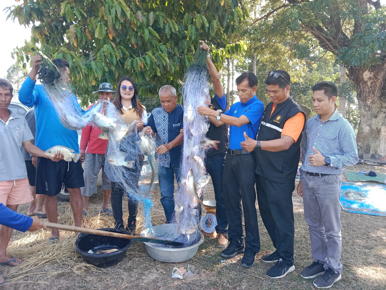 ข่าวประชาสัมพันธ์ประจำวันที่  28 พฤศจิกายน 2566 ศูนย์วิจัยและพัฒนาการเพาะเลี้ยงสัตว์น้ำจืดศรีสะเกษ ฉบับที่ 90