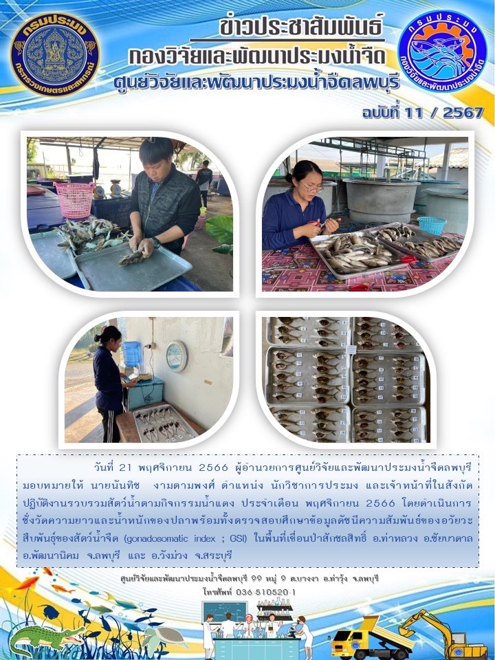 ข่าวประชาสัมพันธ์ ฉบับที่ 11-12/2567..คลิก
