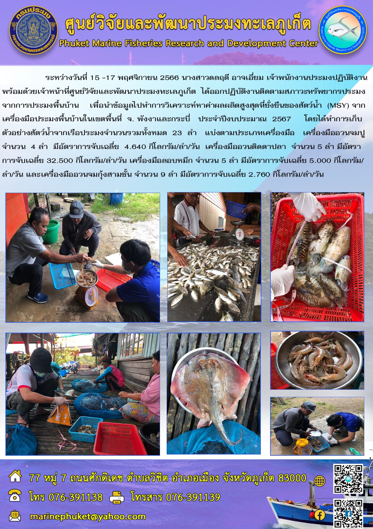 ระหว่างวันที่ 15 – 17 พฤศจิกายน 2566 นางสาวดลฤดี อาจเอี่ยม เจ้าพนักงานประมงปฏิบัติงาน พร้อมด้วยเจ้าหน้าที่ศูนย์วิจัยและพัฒนาประมงทะเลภูเก็ต ได้ออกปฏิบัติงานติดตามสภาวะทรัพยากรประมงจากการประมงพื้นบ้าน เพื่อนำข้อมูลไปทำการวิเคราะห์หาค่าผลผลิตสูงสุดที่ยั่งยืนของสัตว์น้ำ (MSY) จากเครื่องมือประมงพื้นบ้านในเขตพื้นที่ จ.พังงาและกระบี่ ประจำปีงบประมาณ 2567 โดยได้ทำการเก็บตัวอย่างสัตว์น้ำจากเรือประมงจำนวนรวมทั้งหมด 23 ลำ แบ่งตามประเภทเครื่องมือ เครื่องมืออวนจมปู จำนวน 4 ลำ มีอัตราการจับเฉลี่ย 4.640 กิโลกรัม/ลำ/วัน เครื่องมืออวนติดตาปลา จำนวน 5 ลำ มีอัตราการจับเฉลี่ย 32.500 กิโลกรัม/ลำ/วัน เครื่องมือลอบหมึก จำนวน 5 ลำ มีอัตราการจับเฉลี่ย 5.000 กิโลกรัม/ลำ/วัน และเครื่องมืออวนจมกุ้งสามชั้น จำนวน 9 ลำ มีอัตราการจับเฉลี่ย 2.760 กิโลกรัม/ลำ/วัน..คลิก