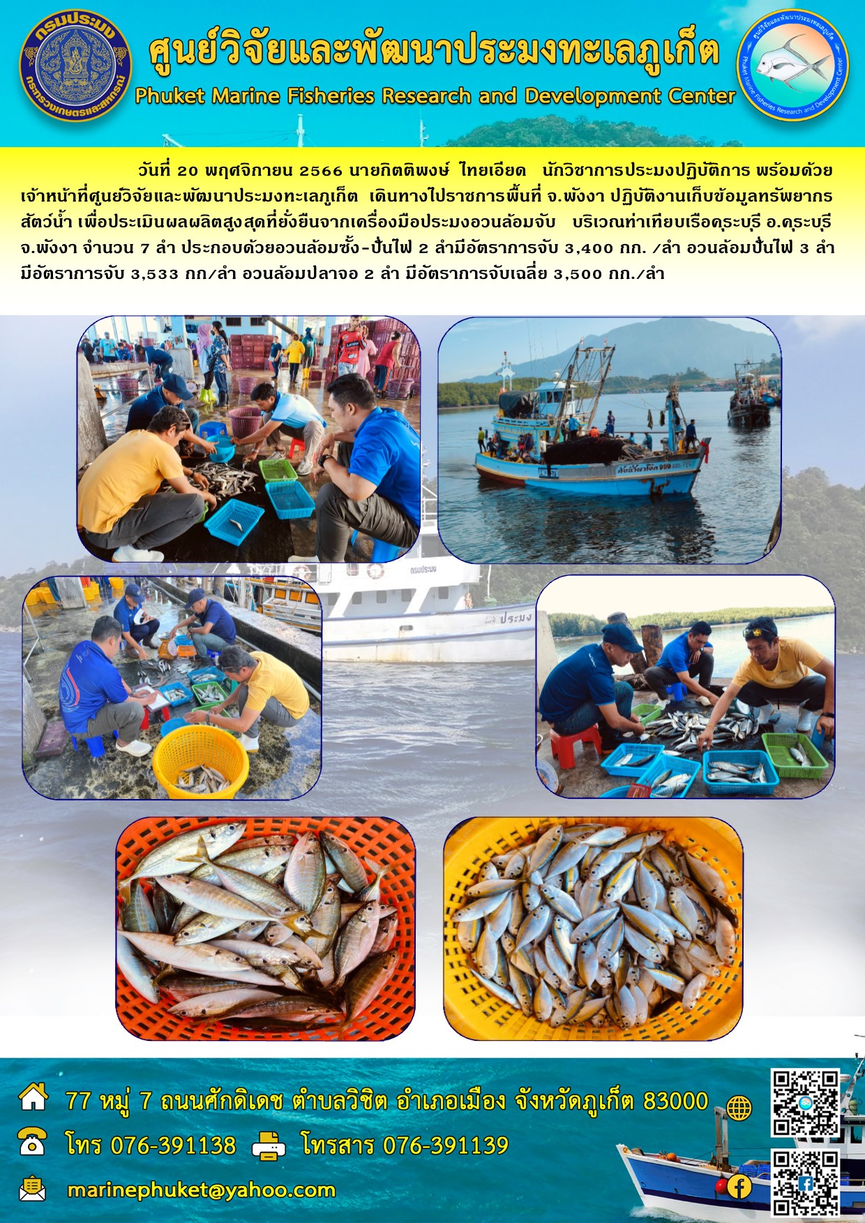 วันที่ 20 พฤศจิกายน 2566 นายกิตติพงษ์ ไทยเอียด นักวิชาการประมงปฏิบัติการ พร้อมด้วยเจ้าหน้าที่ศูนย์วิจัยและพัฒนาประมงทะเลภูเก็ต เดินทางไปราชการพื้นที่ จ.พังงา ปฏิบัติงานเก็บข้อมูลทรัพยากรสัตว์น้ำ เพื่อประเมินผลผลิตสูงสุดที่ยั่งยืนจากเครื่องมือประมงอวนล้อมจับ บริเวณท่าเทียบเรือรคุระบุรี อ.คุระบุรี จ.พังงา จำนวน 7 ลำ ประกอบด้วยอวนล้อมซั้ง-ปั่นไฟ 2 ลำมีอัตราการจับ 3,400 กก./ลำ อวนล้อมปั่นไฟ 3 ลำ มีอัตราการจับ 3,533 กก./ลำ อวนล้อมปลาจอ 2 ลำ มีอัตราการจับเฉลี่ย 3,500 กก./ลำ..คลิก