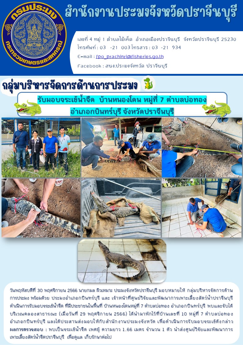 ข่าวประชาสัมพันธ์ รับมอบจระเข้นำ้จืด บ้านหนองโดน หมู่ 7 ตำบลบ่อทอง อำเภอกบินทร์บุรี จังหวัดปราจีนบุรี..คลิก