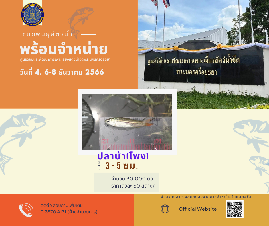 ชนิดพันธ์ุสัตว์น้ำพร้อมจำหน่าย (4,6-8 ธันวาคม 2566) ศพจ.พระนครศรีอยุธยา..คลิก
