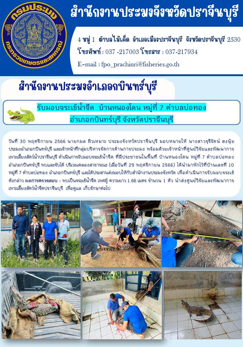 ข่าวประชาสัมพันธ์  รับมอบจระเข้นำ้จืด บ้านหนองโดน หมู่ที่ 7  อำเภอกบินทร์บุรี จังหวัดปราจีนบุรี..คลิก