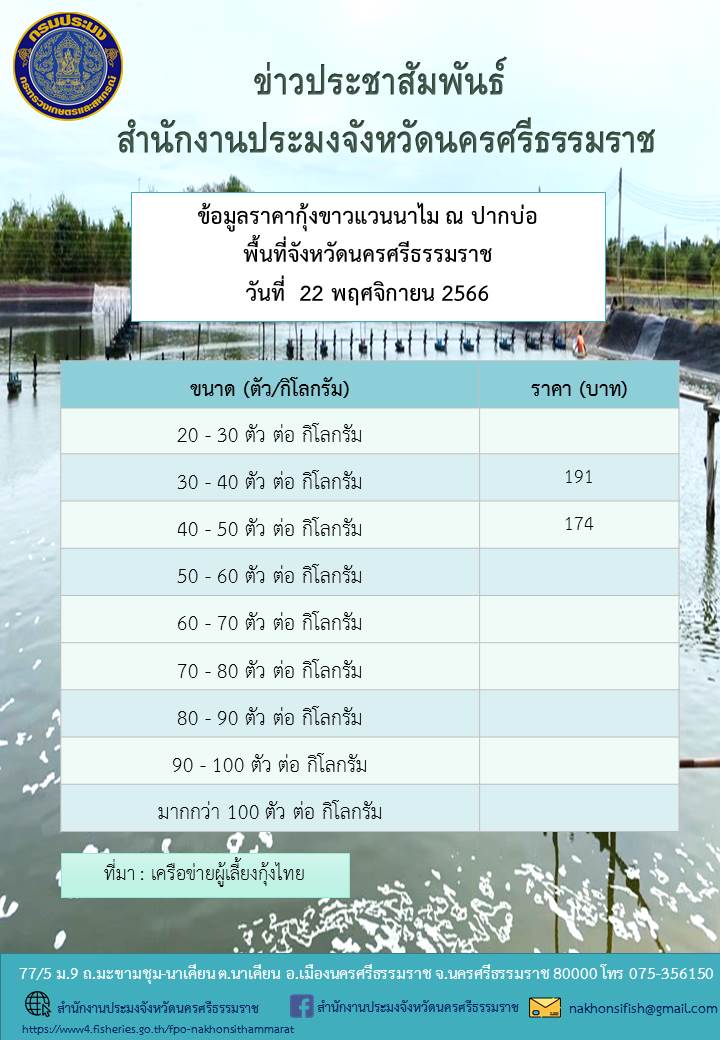 ราคากุ้งขาวแวนนาไม ณ ปากบ่อ พื้นที่จังหวัดนครศรีธรรมราช วันที่ 22 พฤศจิกายน 2566