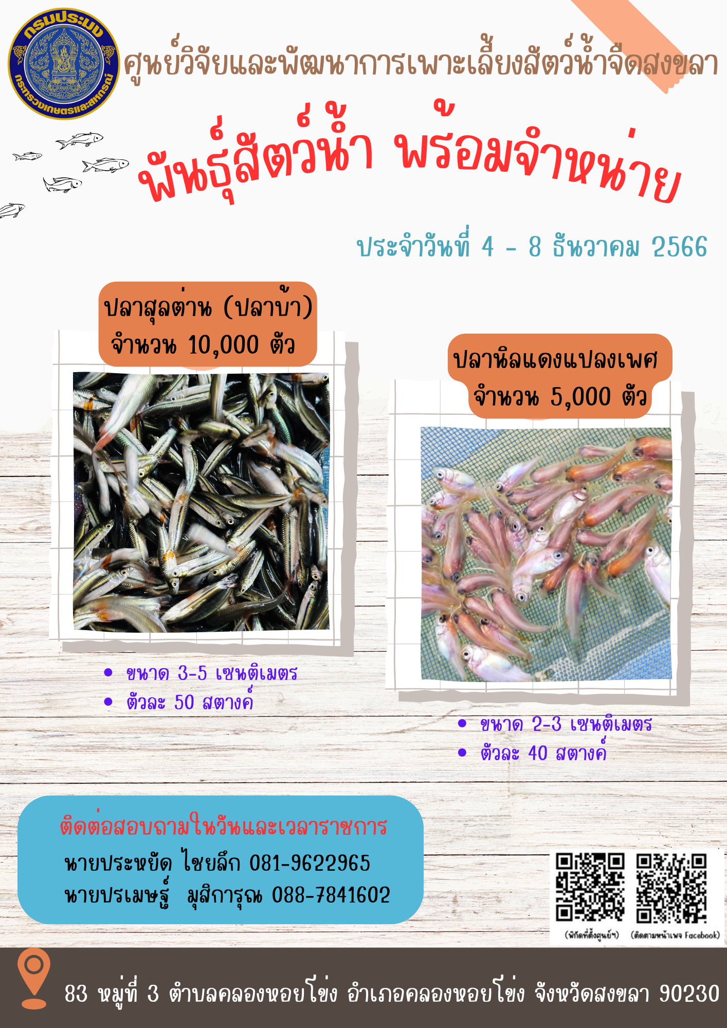 พันธุ์สัตว์น้ำพร้อมจำหน่าย