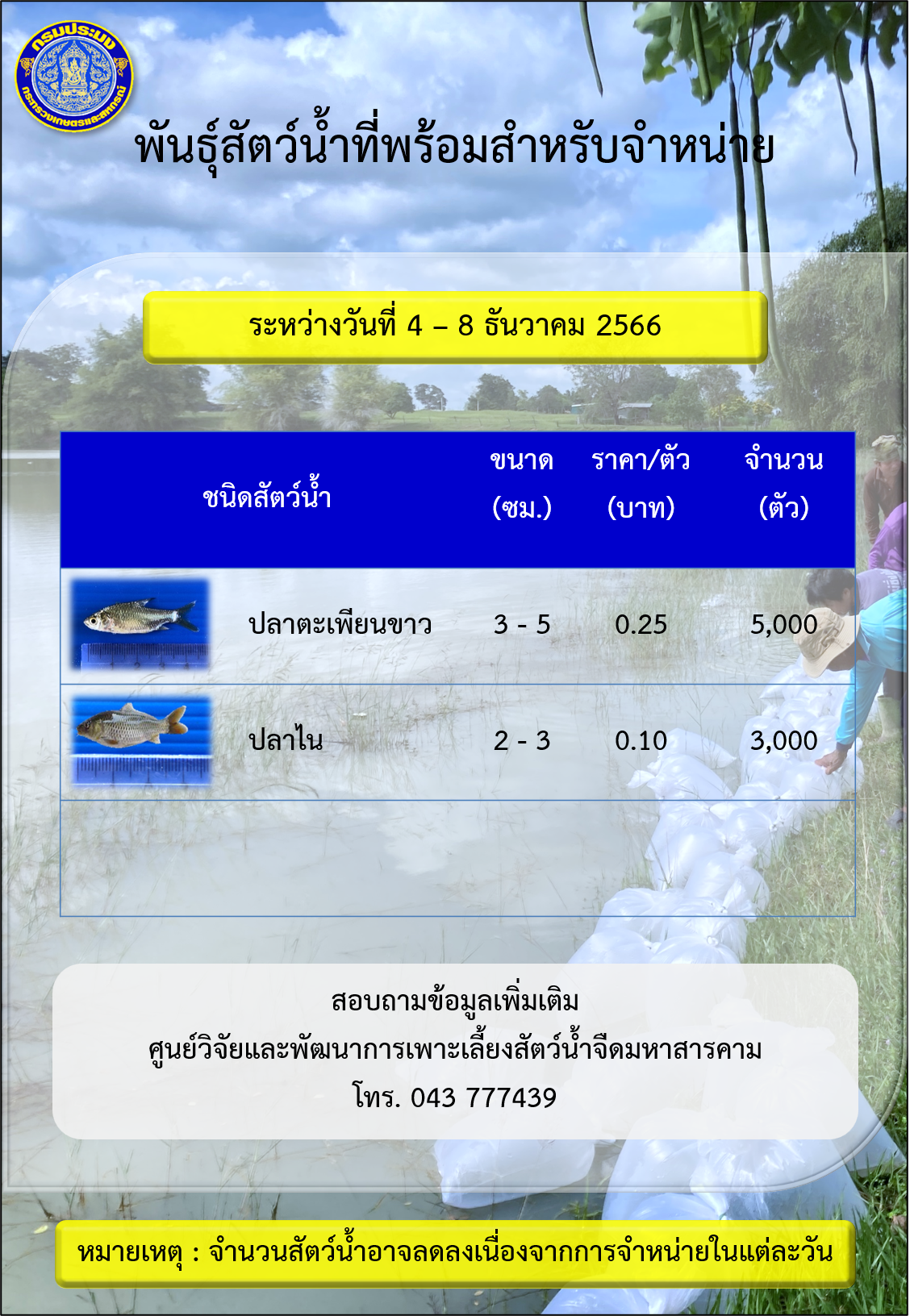 พันธุ์สัตว์น้ำที่พร้อมสำหรับจำหน่าย ระหว่างวันที่ 4 - 8 ธันวาคม 2566..คลิก