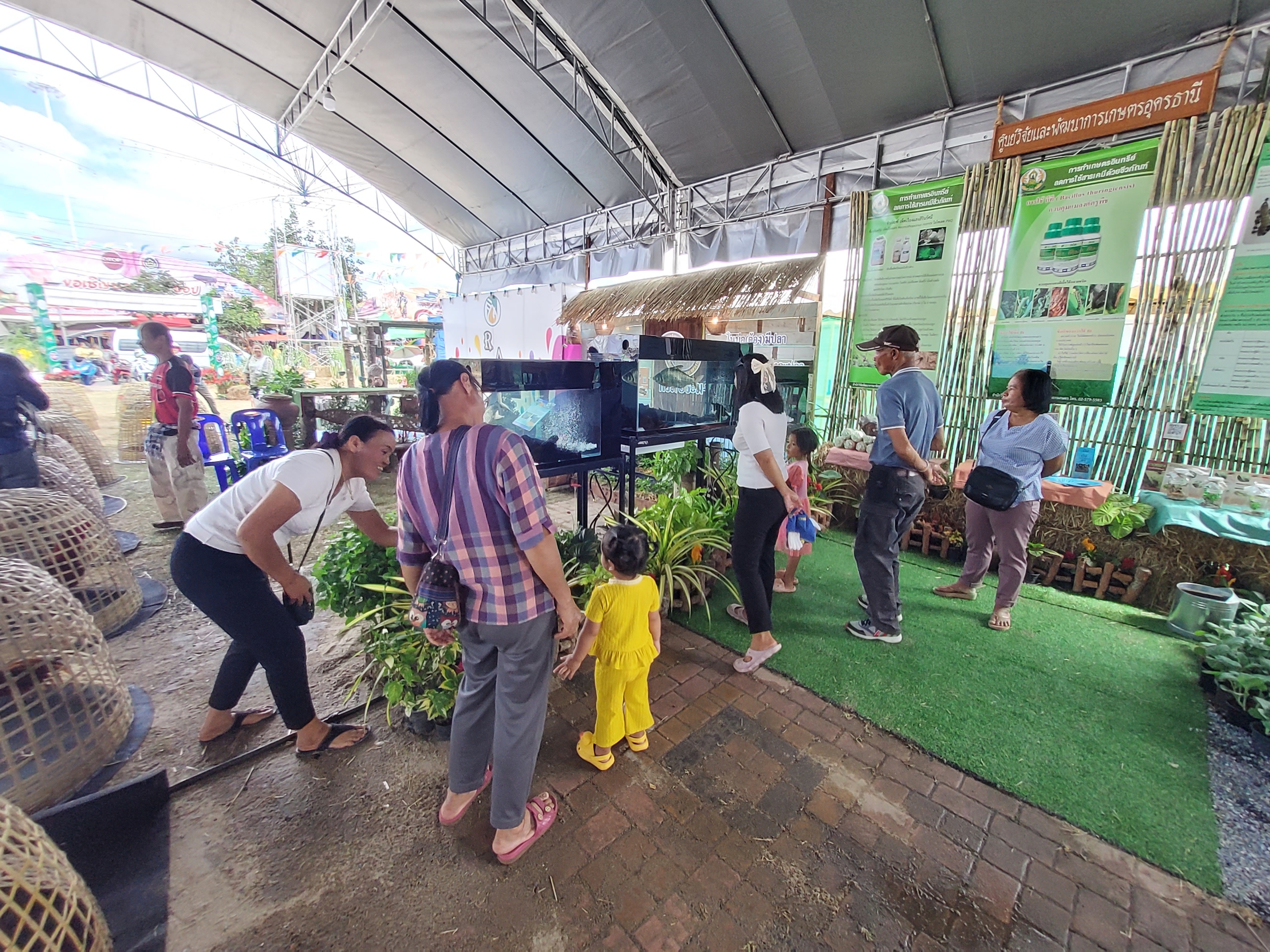 ร่วมออกแสดงนิทรรศการด้านประมง รวมกับส่วนกระทรวงเกษตรและสหกรณ์ ในพื้นที่ในงานทุ่งศรีเมืองอุดรธานี ประจำปี 2566..คลิก