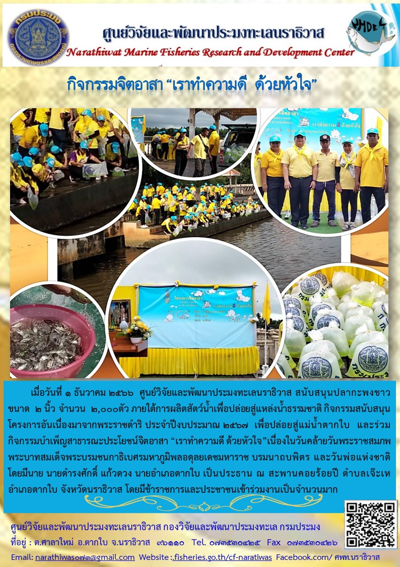 สนับสนุนพันธุ์ปลากะพงขาวเพื่อปล่อยในกิจกรรม