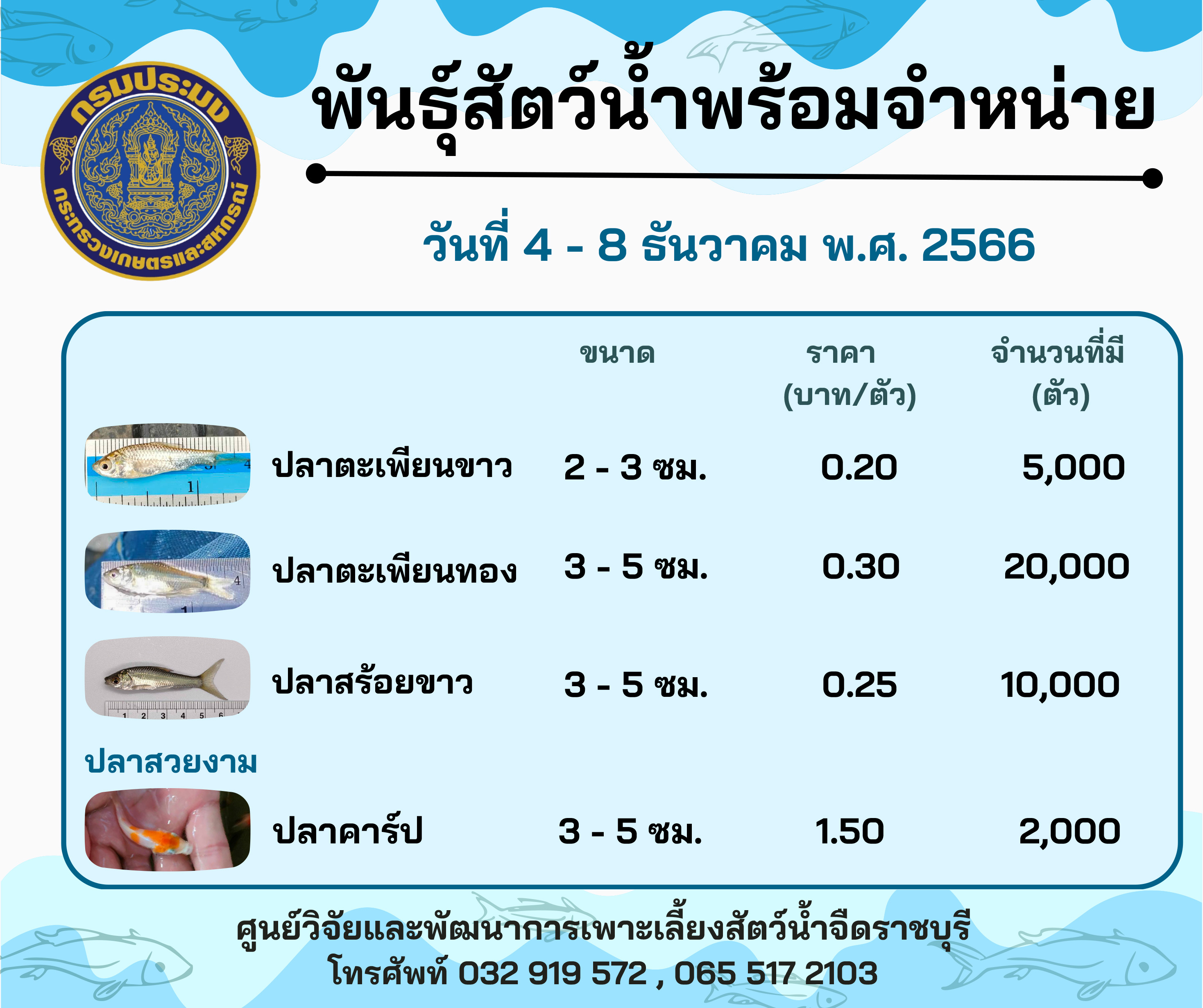 ลูกพันธุ์สัตว์น้ำพร้อมจำหน่าย ประจำวันที่ 4 - 8 ธันวาคม พ.ศ. 2566..คลิก