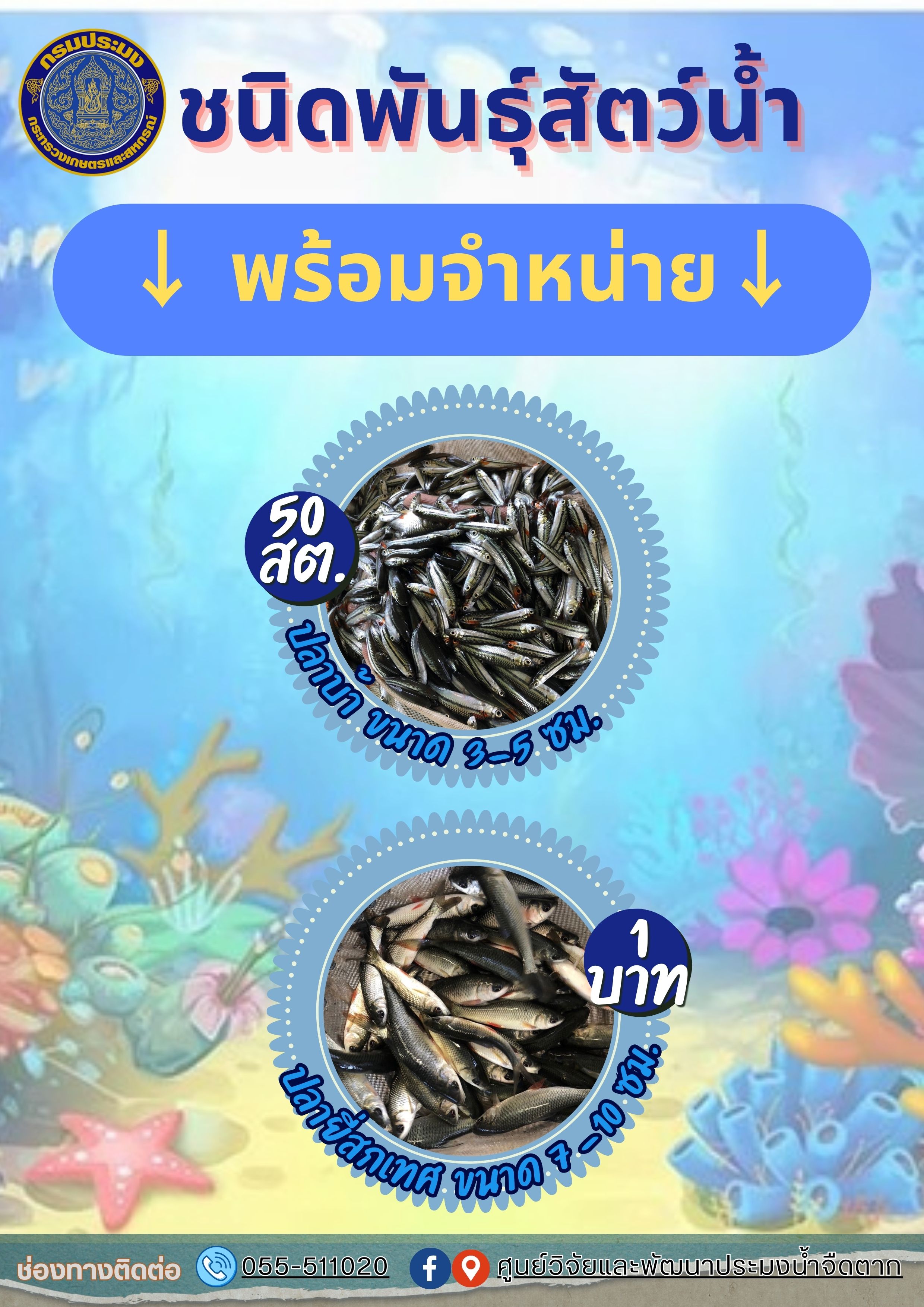 ชนิดพันธุ์สัตว์น้ำที่มีจำหน่ายระหว่างวันที่ ๖ - ๘ ธันวาคม พ.ศ. ๒๕๖๖..คลิก
