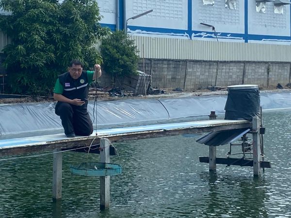 สำนักงานประมงพื้นที่กรุงเทพมหานคร นำเกษตรกรดูงานฟาร์มต้นแบบการเลี้ยงกุ้งทะเลแบบพัฒนาของกรุงเทพมหานคร